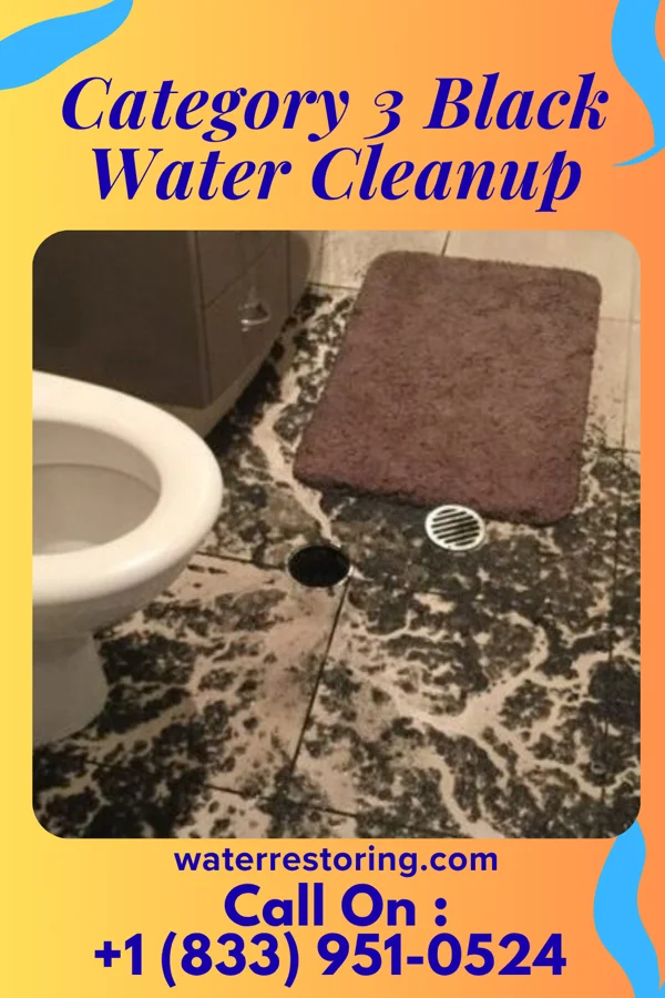 Category 3 Black Water Cleanup in Greigsville, NY