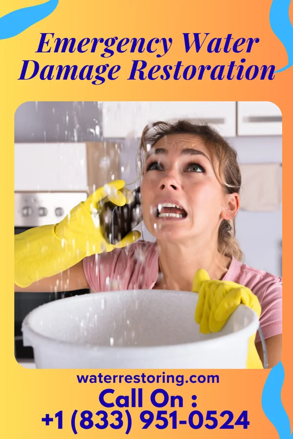Emergency Water Damage Restoration in Greigsville, NY