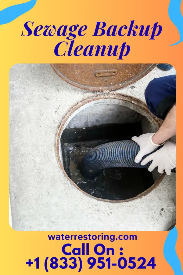 Sewage Backup Cleanup in Greigsville, NY