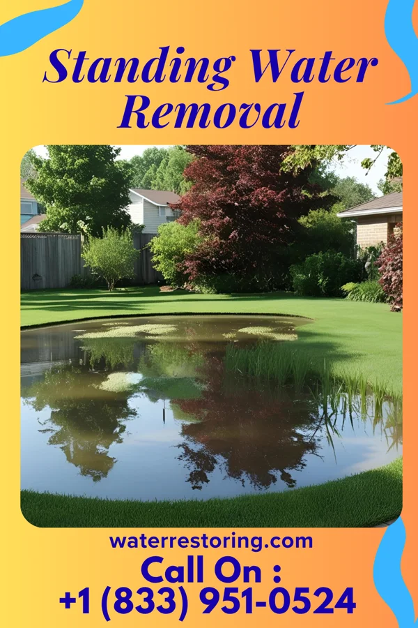 Standing Water Removal in Greigsville, NY
